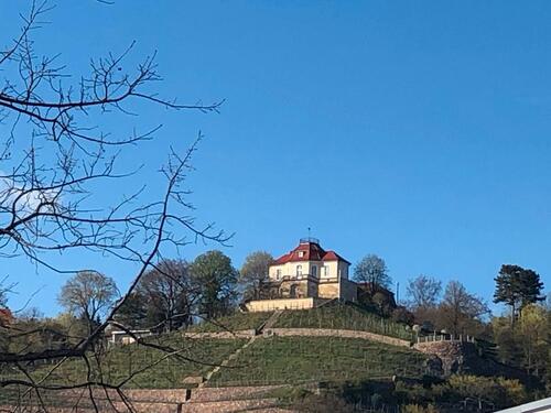 Foto - Kleingarten mit Blick auf die Weinberge Radebeul West
