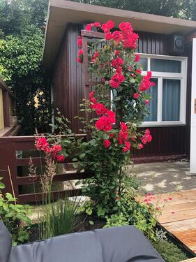 Foto - Grundst&uuml;ck zur Miete in Radebeul