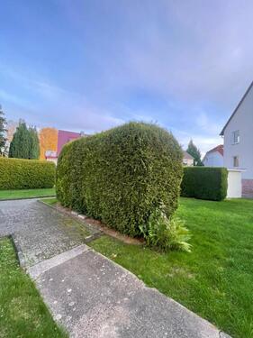 Foto - andere in Kassel zur Miete