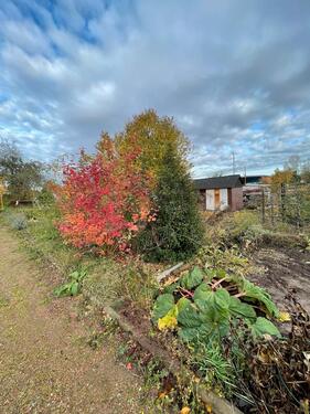 Foto - Kleingarten 287qm - 1.900,00&nbsp;EUR Kaltmiete, ca.&nbsp; 0,00&nbsp;m&sup2;