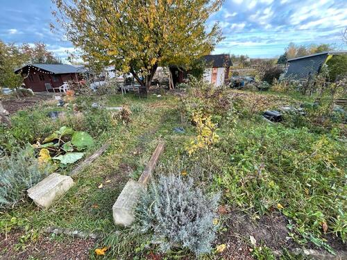 Foto - Grundst&uuml;ck in Dresden zur Miete