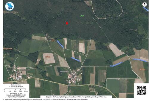 Foto - Wald, Waldgrundstück, Forstfläche