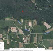 Wald, Waldgrundstück, Forstfläche - Allersberg Eismannsdorf