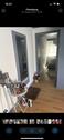 Foto - 2-Zimmer-Wohnung in der Sonderburgerstr
