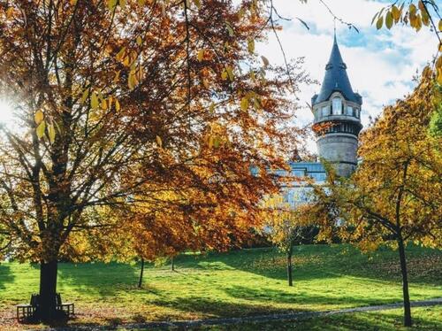 Foto - 1 Zimmer Etagenwohnung in Bonn