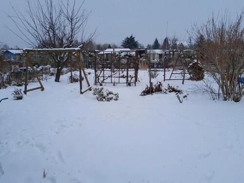 Foto - Grundst&uuml;ck in Leipzig