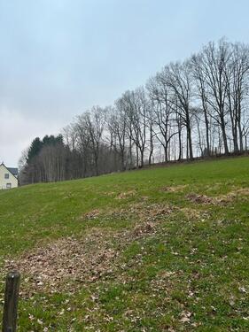 Foto - Baugrundstück - 75,00&nbsp;EUR Kaltmiete, ca.&nbsp; 0,00&nbsp;m&sup2;