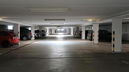 Foto - andere in Dresden