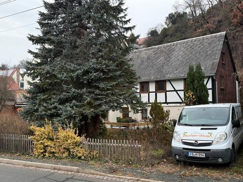 Foto - Einfamilienhaus in Großschirma zum Kaufen