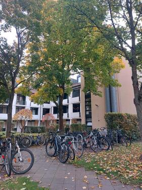 Foto - Sehr schöne renovierte 1 Zimmerwohnung zu verkaufen