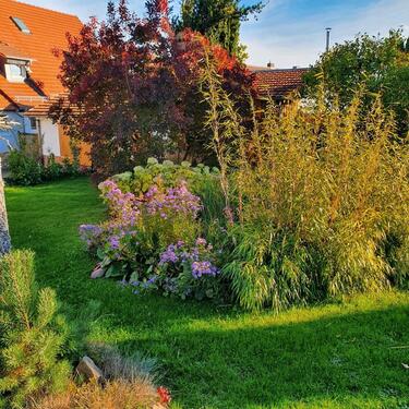 Foto - 4 Zimmer Einfamilienhaus in Niederaula