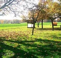 Einfamilienhaus mit viel Nebengelass u. großem Garten in Rodewald
