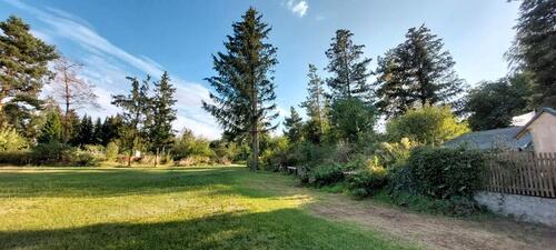 Foto - Einfamilienhaus in Klostermansfeld zum Kaufen