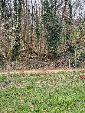 Foto - Grundst&uuml;ck zur Miete in Klingenmünster