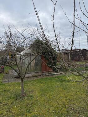 Foto - Grundst&uuml;ck in Chemnitz