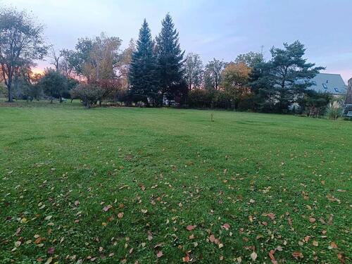 Foto - andere zur Miete in Ludwigsfelde