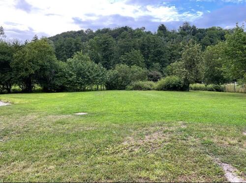 Foto - Einfamilienhaus in Freden (Leine) zum Kaufen