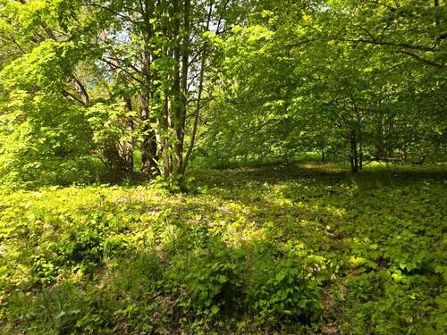 Foto - Villa mit 100,00 m&sup2; in Reichenbach im Vogtland zum Kaufen
