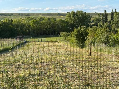 Foto - Grundst&uuml;ck zur Miete in Nieder-Olm