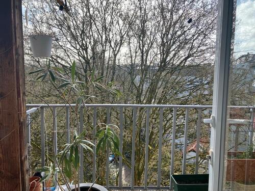 Foto - 3 Zimmer Etagenwohnung zur Miete in Hamburg