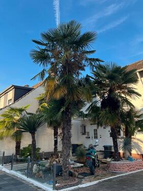 Foto - Baugrundstück porz Eil Privatstraße Wertsteigerung