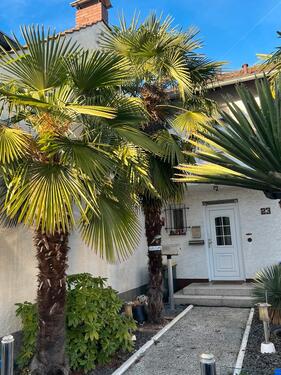 Foto - Grundst&uuml;ck zur Miete in Köln