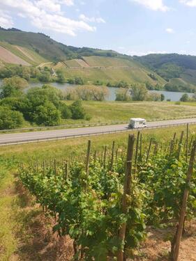Foto - Grundst&uuml;ck in Neumagen-Dhron zur Miete