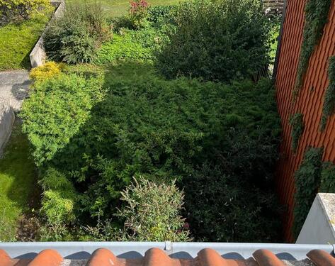 Foto - 3-Zimmerwohnung mit Loggia +Tiefgaragenstellplatz,Innenstadt