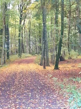 Foto - andere in Wuppertal