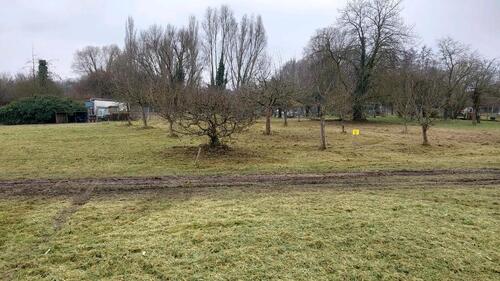 Foto - Gartengrundstücke - 50,00&nbsp;EUR Kaltmiete, ca.&nbsp; 0,00&nbsp;m&sup2;