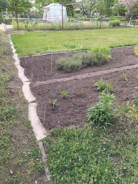 Foto - Grundst&uuml;ck in Dresden