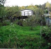 Pachtkleingarten an Interessenten abzugeben - Jena Kernberge