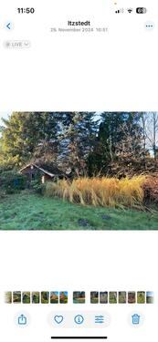 Foto - 5 Zimmer Einfamilienhaus in Itzstedt