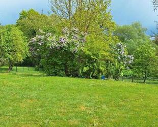 2 Zi.-Souterrain-Whg. mit Terrasse und Garage - Bad Oldesloe