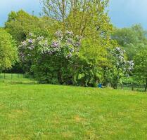 2 Zi.-Souterrain-Whg. mit Terrasse und Garage - Bad Oldesloe