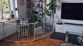 Foto - Etagenwohnung in Bielefeld