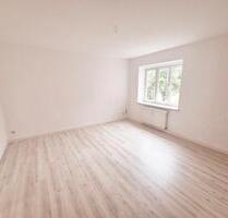 ***2 Monate Kaltmietfrei*** Helle 2-Zimmer-Wohnung in Glauchau zu vermieten