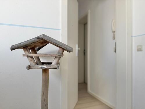 Foto - Etagenwohnung in Chemnitz zur Miete