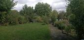 Foto - Pachtgarten Kleingarten für Himbeerliebhaber