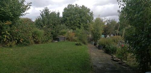 Foto - Pachtgarten Kleingarten für Himbeerliebhaber