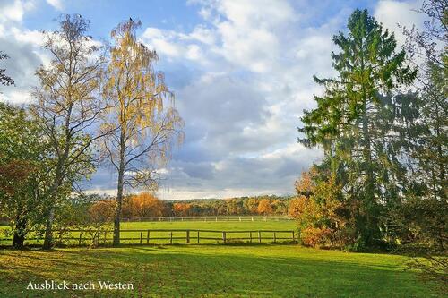 Foto - 4 Zimmer Bungalow in Egestorf