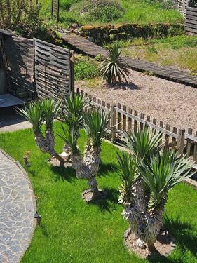 Foto - Mehrfamilienhaus, Wohnhaus in Zweibrücken