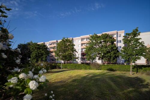 Foto - Familienfreundliche 4-Zimmerwohnung in Halle-Neustadt