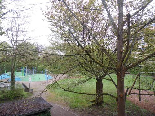 Foto - 3.5 Zimmer Etagenwohnung in Ettlingen