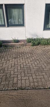 Foto - andere in Sindelfingen