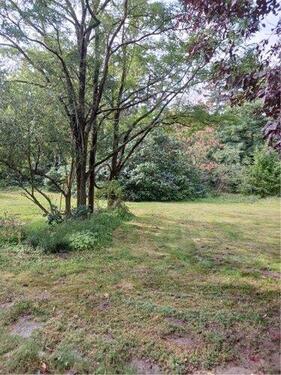 Foto - Einfamilienhaus zum Kaufen in Lüneburg