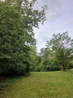 Foto - Einfamilienhaus in Lüneburg