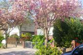 Foto - Marienthal Top Lage - 889,00&nbsp;EUR Kaltmiete, ca.&nbsp; 47,70&nbsp;m&sup2;