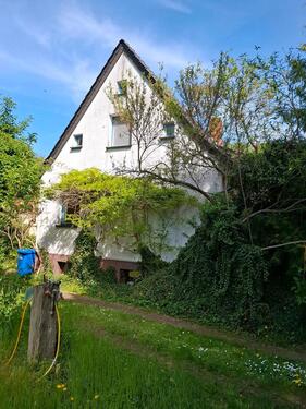 Foto - 4 Zimmer Einfamilienhaus in Wusterwitz