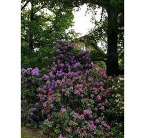 Wohnung in Großweitzschen zu vermieten - Waldheim